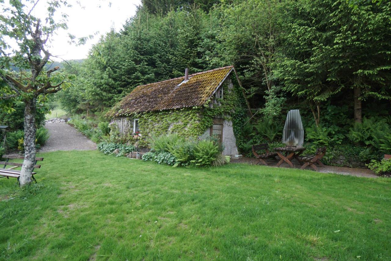 Gummeneck - Stubenhof, Black Forest Simonswald Exterior photo